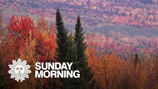 Nature: Fall colors in Maine