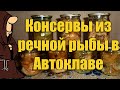 Консервы из речной рыбы в Автоклаве в домашних условиях, рецепты для Автоклава