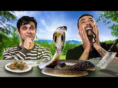 Vídeo: Quando as cobras hognose estão assustadas, elas fazem isso?