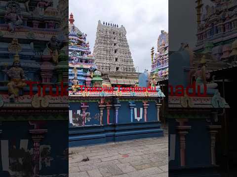 Tirukoilur Temple Tamilnadu