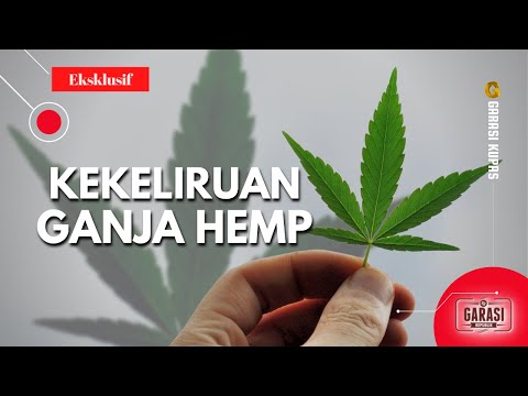 Video: Pot untuk tempat? Marijuana Perubatan Bukan Hanya untuk Manusia