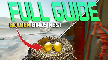 Get The GOLDEN BIRDS NEST Easily in Delta Force