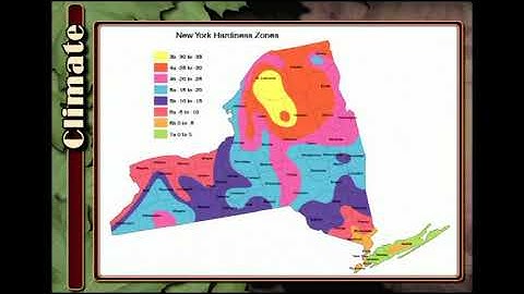 Maple Syrup Production for the Beginner Part 3: Sugaring Seasons