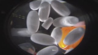 Hancock County urged to use opioid settlement funds for support efforts