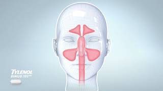 Tylenol Sinus Pressure & Pain 15En