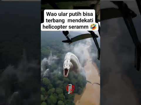 Jumping snake #horor #wildfacts #snake #shorts