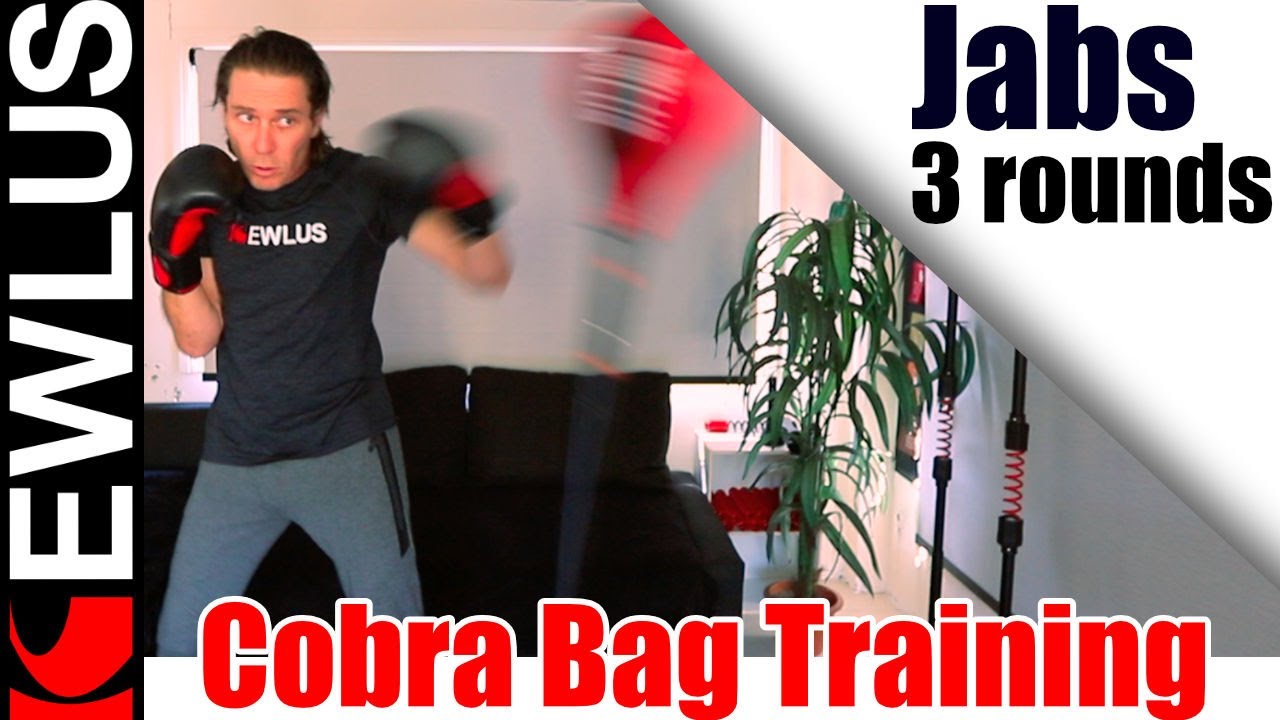 Boxing/Cobra Bag Training Jabs 2min x 3 YouTube