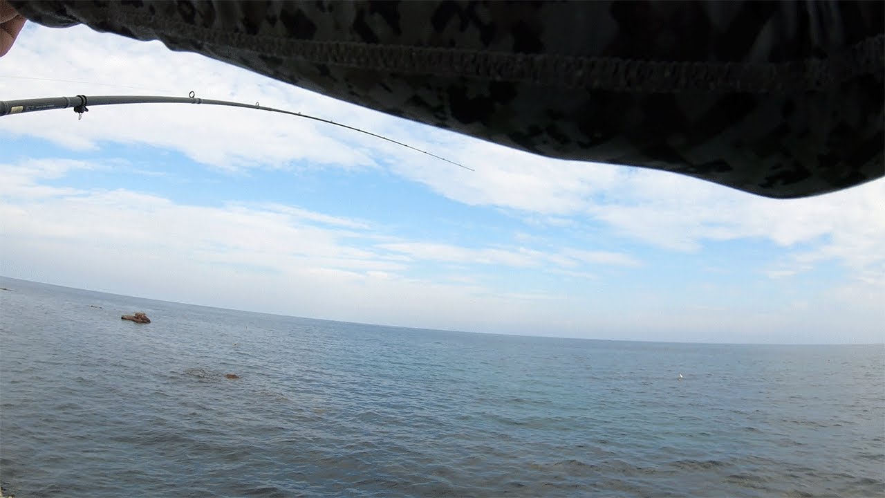 今年の能登の海は渋いので内海で久しぶりに釣りしてみたら…