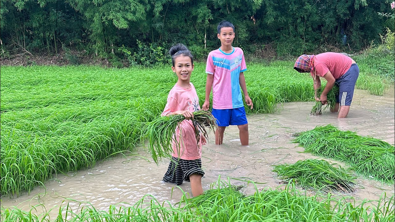 ธิดาลาวอยู่ไทยก็ไม่ลืมสิ่งที่ยายสอนใว้จากฝั่งลาว  ขอลงหลกกล้าช่วยตาหวังทำนา