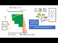 生産構造図・層別刈取法　高校生物