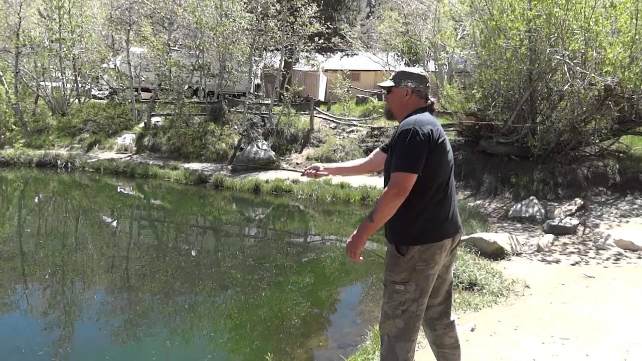 Tenkara fly fishing in Ron's pond on creek. YouTube