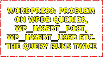 Wordpress: Problem on wpdb queries, wp_insert_post, wp_insert_user etc. The query runs twice