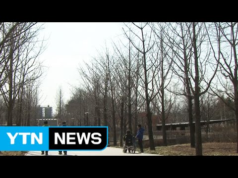 [날씨] 서해안·남부 옅은 황사...맑고 따스한 봄 / YTN