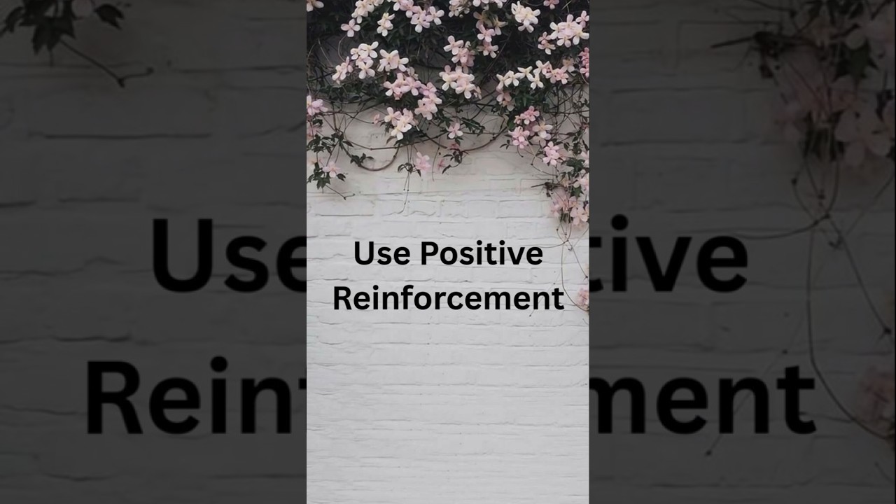 Positive Reinforcement