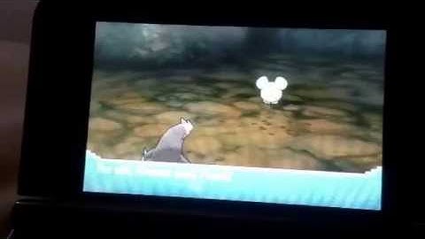 (FOYT) shiny whismur ORAS