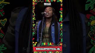 Protoge Live at Reggae Rotterdam Festival 2022 part 02