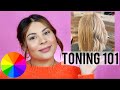 HOW TO TONE HAIR THE RIGHT WAY | PRO HAIRDRESSER TIPS