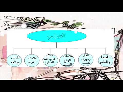 ملخص الكفايات اللغوية ١ الطالبة جميلة Youtube