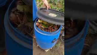 pupuk organik cair limbah dapur