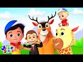 Zoo Song, Cartoon Videos + MORE Kindergarten Rhymes for kids - Junior Squad Sing Along
