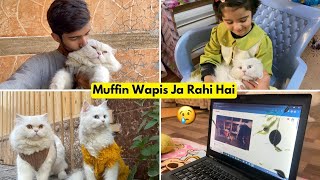 Muffin Ki cute fan  muffin ko lene Aayi ||Max ny laptop tod Diya 