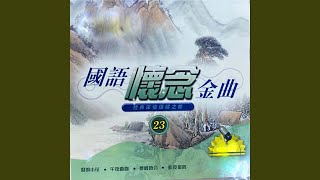 Duo Shao Rou Qing Duo Shao Lei