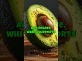 The Surprising Truth About Avocados
