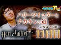 ハリーツイッターとナカキンの道 11日目