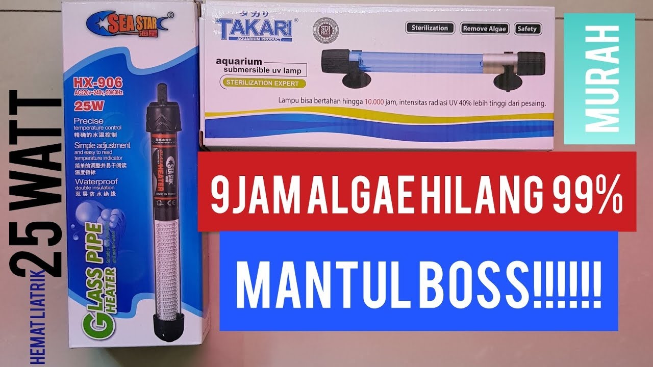 HEATER 25WATT ADA.... UV PEMBASMI ALGAE 99% DALAM 9JAM ADA.... ikanzi