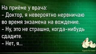 🐔Приходит Муж Домой...Большой Сборник Смешных Анекдотов,Для Супер Настроения!