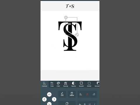 T+S logo name
