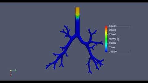 Aerosol Deposition in Idealized Human Lung airway