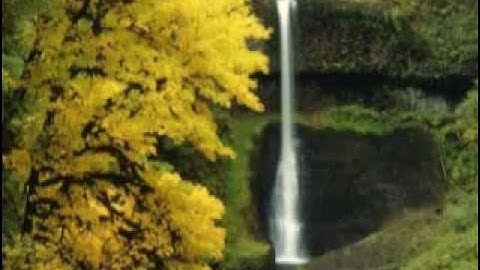 محمد البراك - سورة الجن كامله -