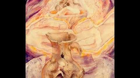 Numbers 5 (with text - press on more info. of video on the side)