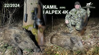 Wild BOAR Hunt with ALPEX 4K | Hikmicro Test