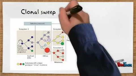 Vidcast Project - Inter and Intratumor heterogeneity and the evolution of cancer.