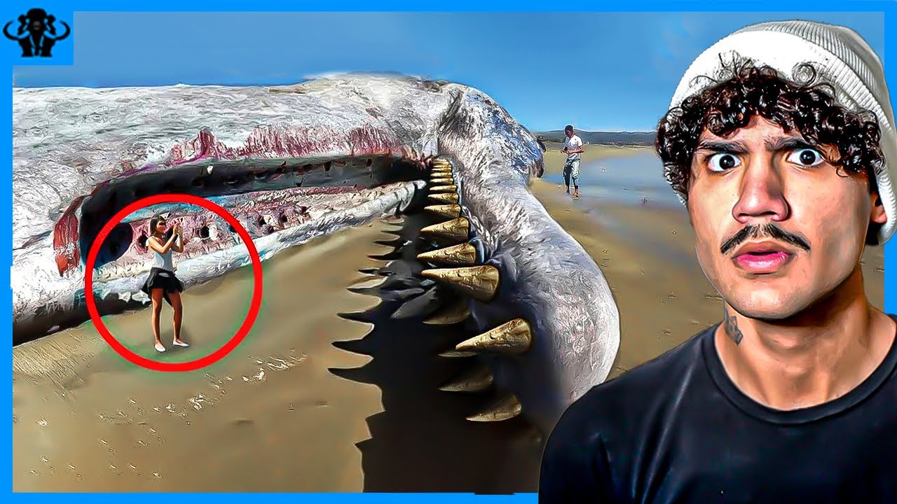 50 COISAS ASSUSTADORAS QUE APARECERAM NA PRAIA!