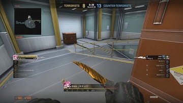 CSGO ace 1v5 AWP (funny panic)