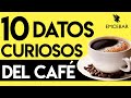 10 Datos Curiosos del Café