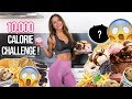 10,000 CALORIE CHALLENGE | GIRL VS FOOD