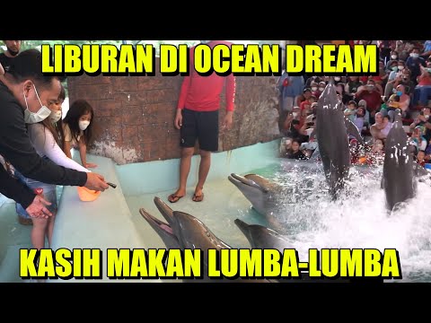 LIBURAN KE OCEAN DREAM!!! KASIH MAKAN LUMBA-LUMBA!!!