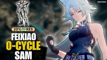 She can’t keep getting away with this… | Feixiao Bruteforces SAM