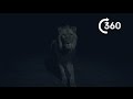 Night Predators Of Africa 360° | Planet Earth II | Behind The Scenes