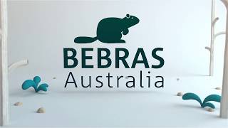 Bebras 2020 animation