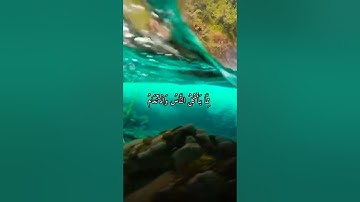 اجمل حالة واتس اب قران كريم بصوت ياسر الدوسري سورة يونس