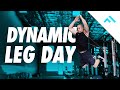 Dynamic Lower Body Workout | Speed Work and Plyometrics