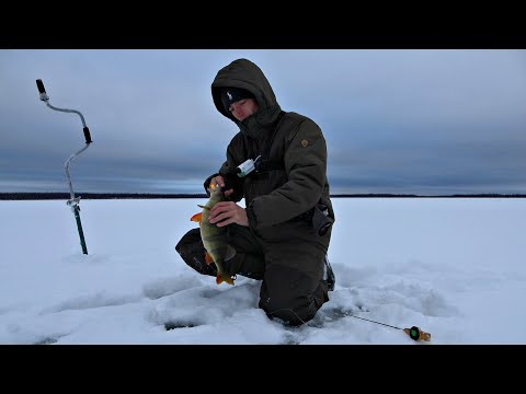 Щедрый ПЕРВЫЙ ЛЁД НА ОЗЕРЕ! ЩУКА С СЮРПРИЗОМ ВНУТРИ! ЖАРЕНЫЕ КАРАСИ! Это настоящая рыбалка!