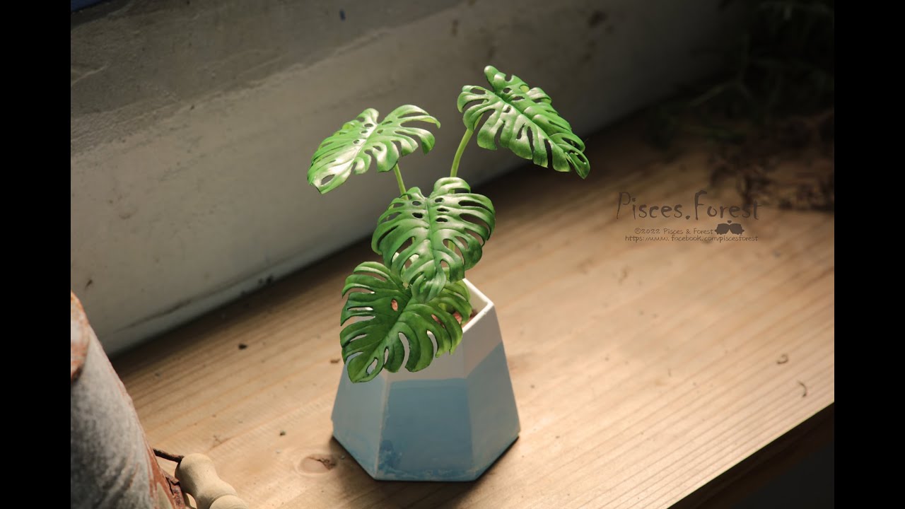 仿真黏土龜背芋(上)