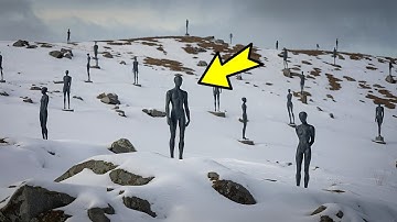 Scientists set up cameras in the Arctic. What they saw horrified them!