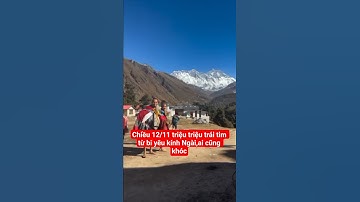 chiều 12/11 triệu triệu trái tim từ bi yêu kính Ngài,ai cũng khóc#suminhtue #shortvideo